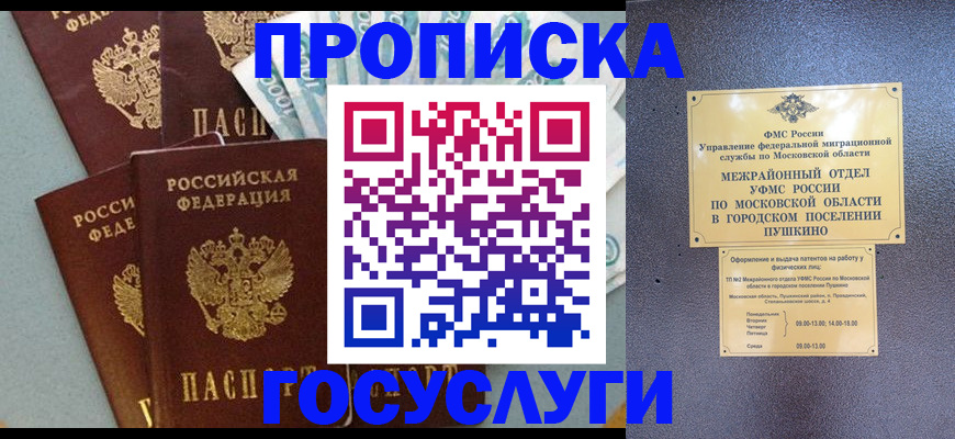 прописка гарантия в Новосибирской области